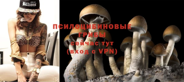 не бодяженный Белокуриха